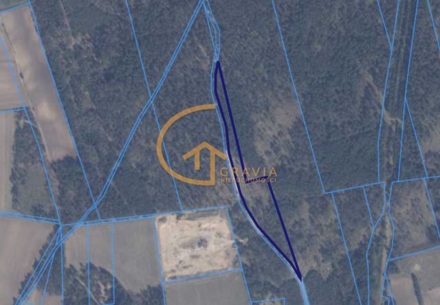 Działka leśna Linia, ul. Długa. Zdjęcie 6