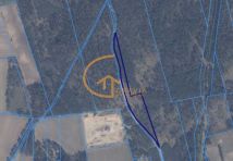 Działka leśna Linia, ul. Długa. Zdjęcie 4