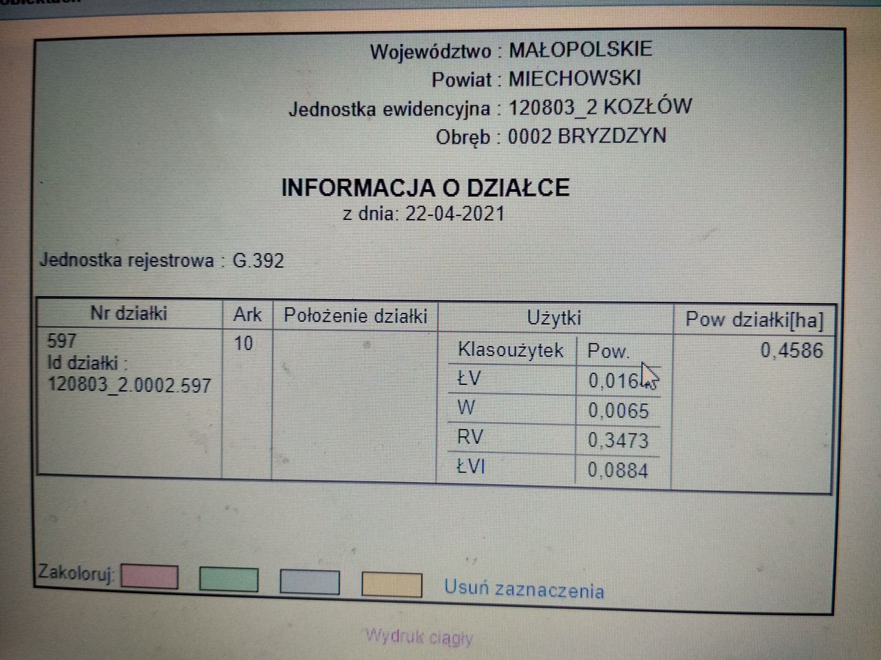 Działka rolna Bryzdzyn. Zdjęcie 5