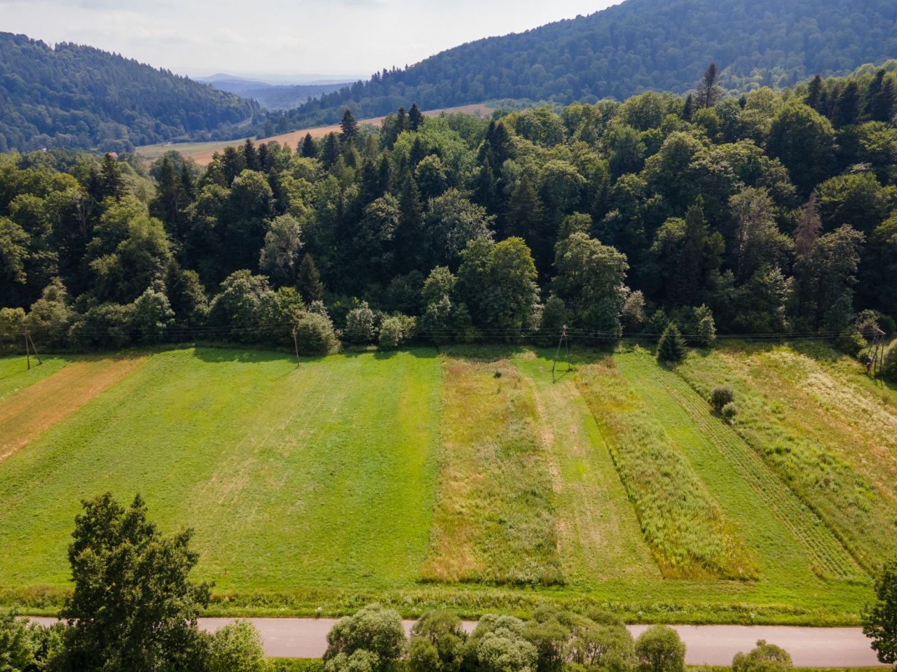 Działka rekreacyjna Wańkowa. Zdjęcie 6