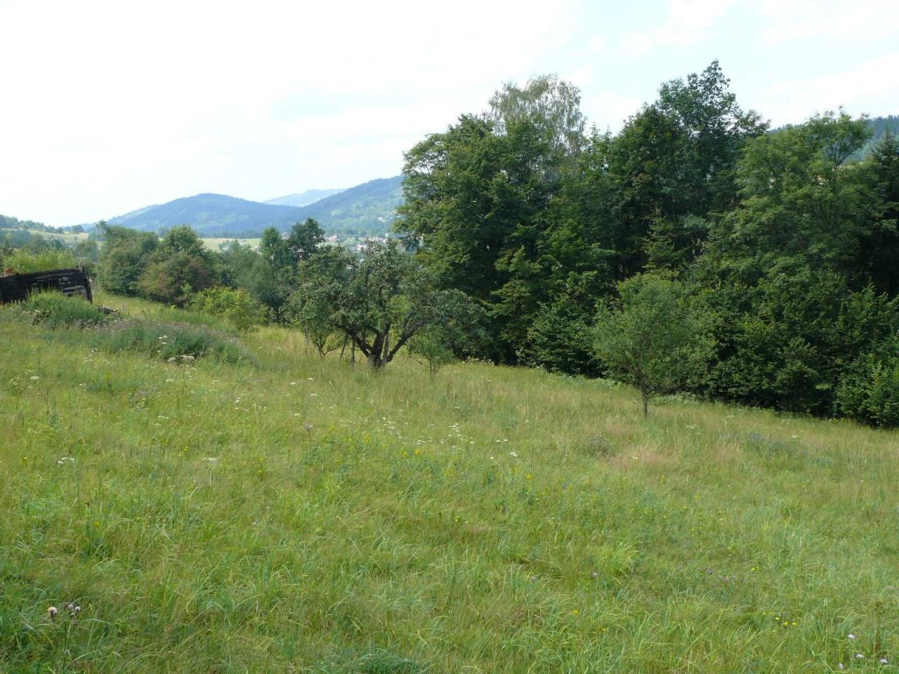 Działka budowlana Stryszawa. Zdjęcie 7