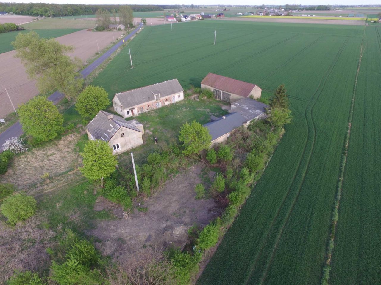 Działka siedliskowa Jagiełłów. Zdjęcie 3