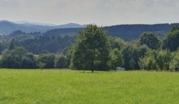 Działka budowlana Kocoń, ul. Osikowa