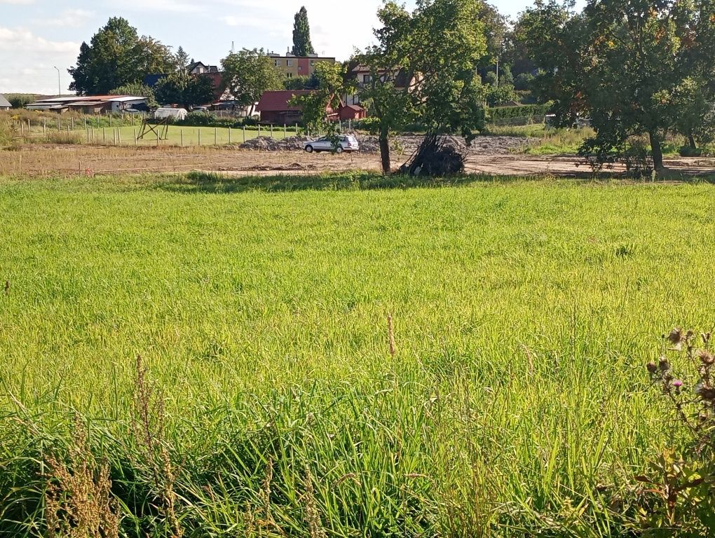 Działka budowlana Szafranki. Zdjęcie 2
