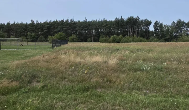 Działka budowlana Koło, ul. Klonowa