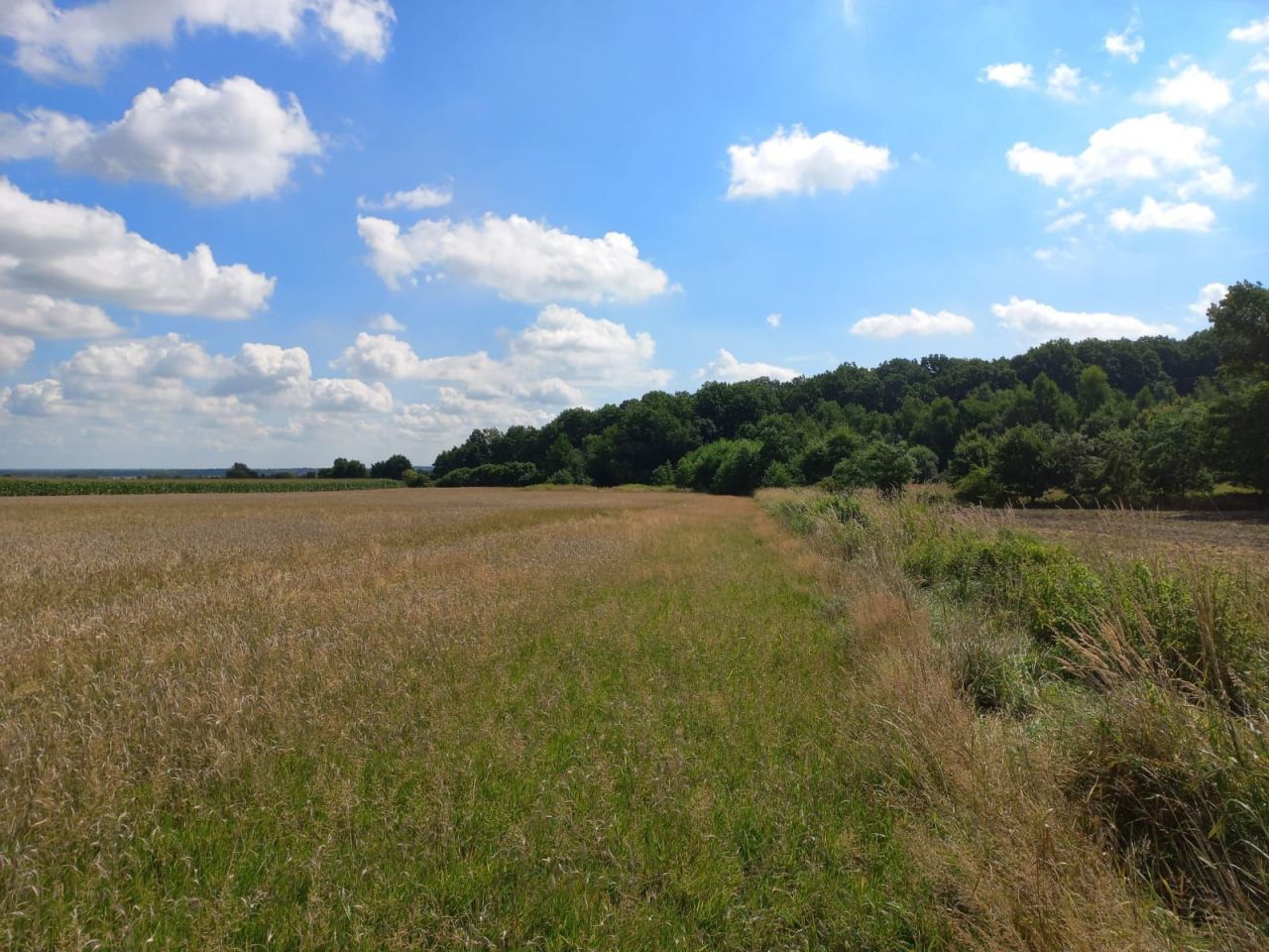 Działka budowlana Kuropatnik. Zdjęcie 2