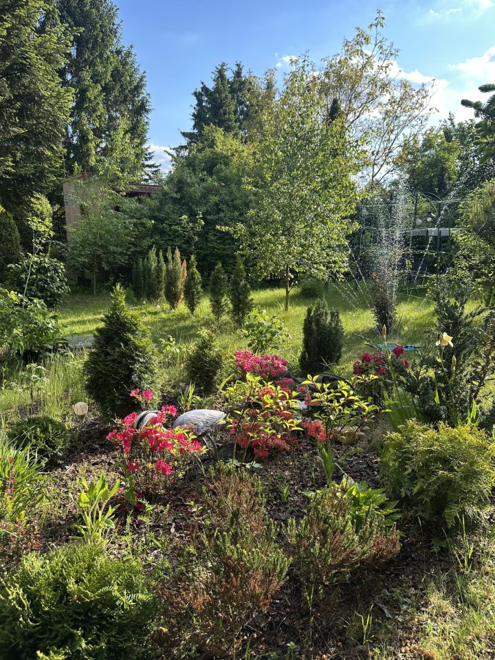 Działka rod Stefanowo, ul. Ułanów. Zdjęcie 24