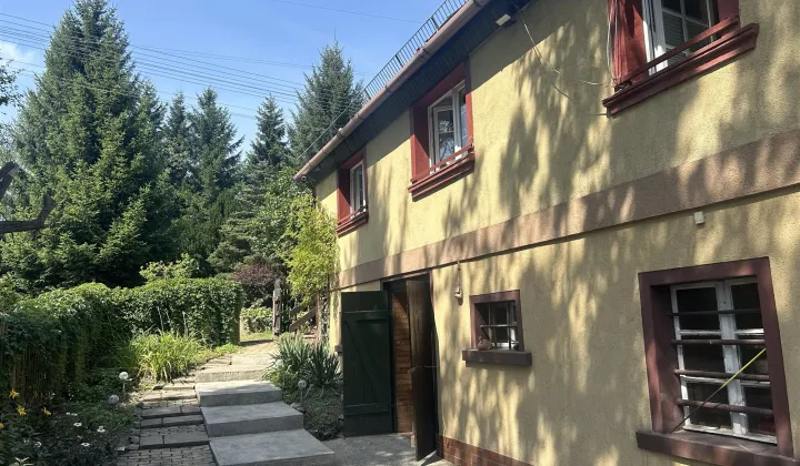 bliźniak, 7 pokoi Dziwiszów