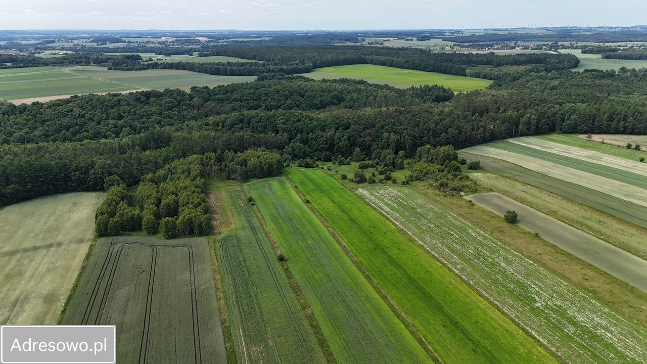 Działka rolna Kaczkowo. Zdjęcie 7