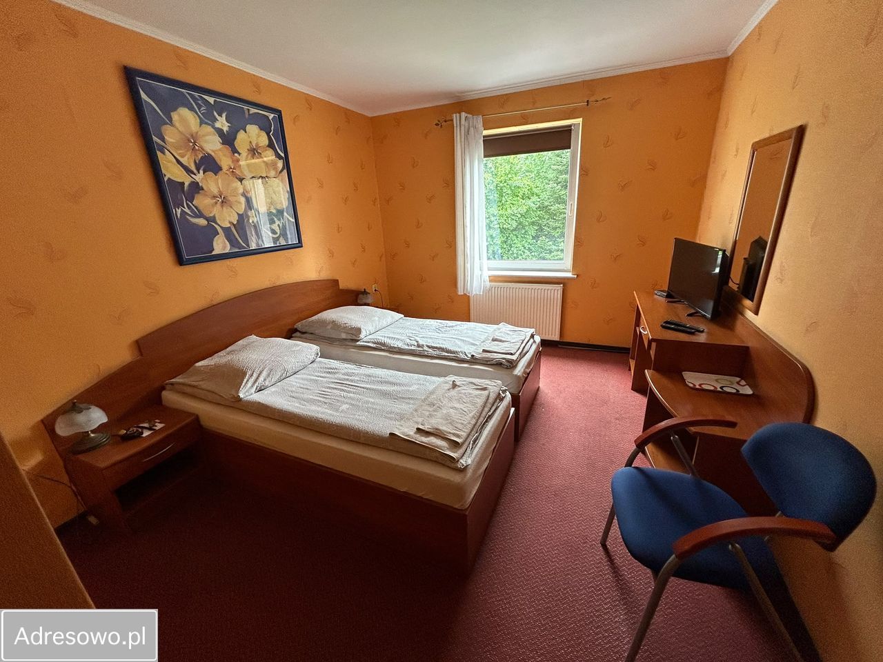 Hotel/pensjonat Rosin. Zdjęcie 7