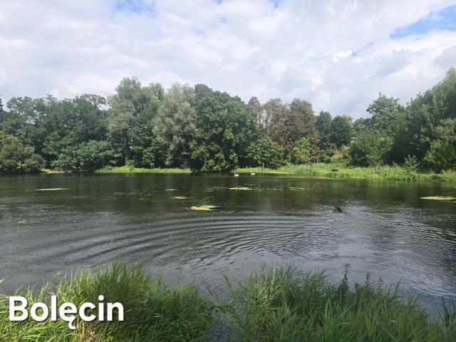 dom, 2 pokoje Bolęcin. Zdjęcie 10