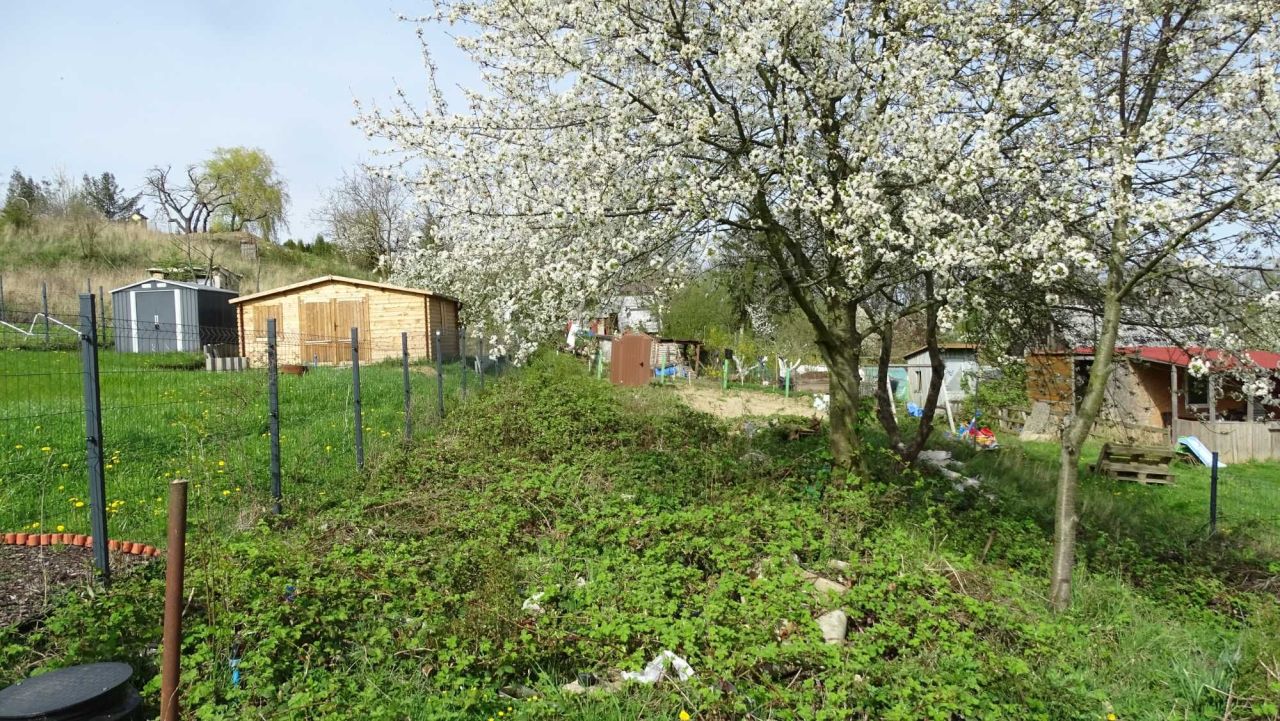 Działka rekreacyjna Szczecin Stołczyn, ul. Orna