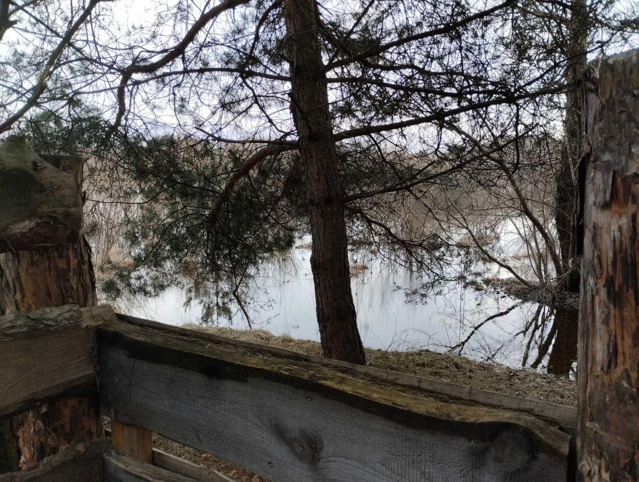 Działka rekreacyjna Wólka Nadbużna. Zdjęcie 3