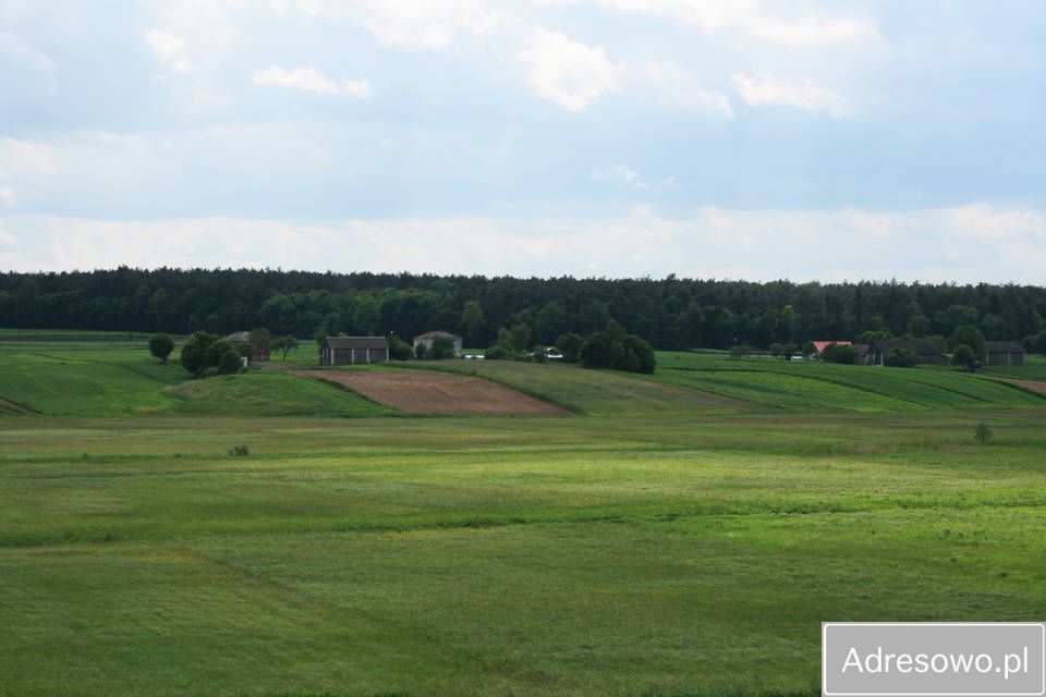 Działka rolna Surhów