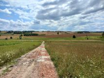 Działka rolno-budowlana Głotowo. Zdjęcie 1