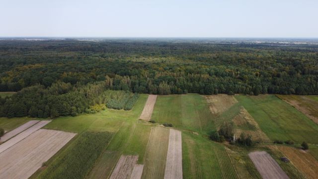 Działka budowlana Korczowiska. Zdjęcie 4