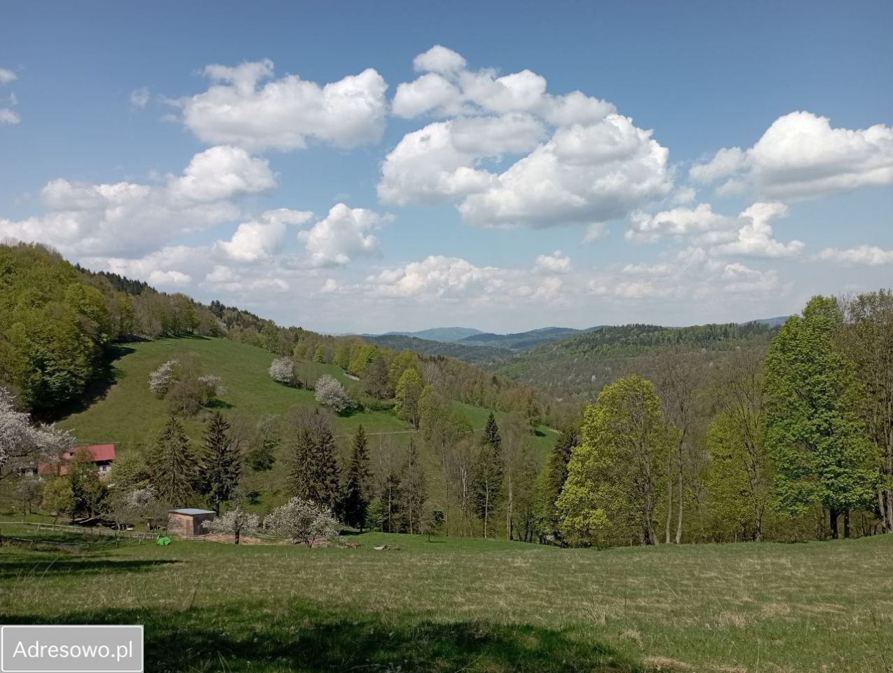 dom wolnostojący Konradów. Zdjęcie 5