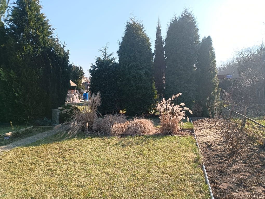 Działka rod Goleniów, ul. Wojska Polskiego. Zdjęcie 3