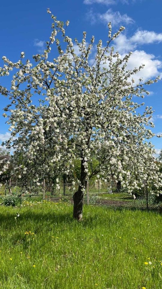 Działka rod Świdnica