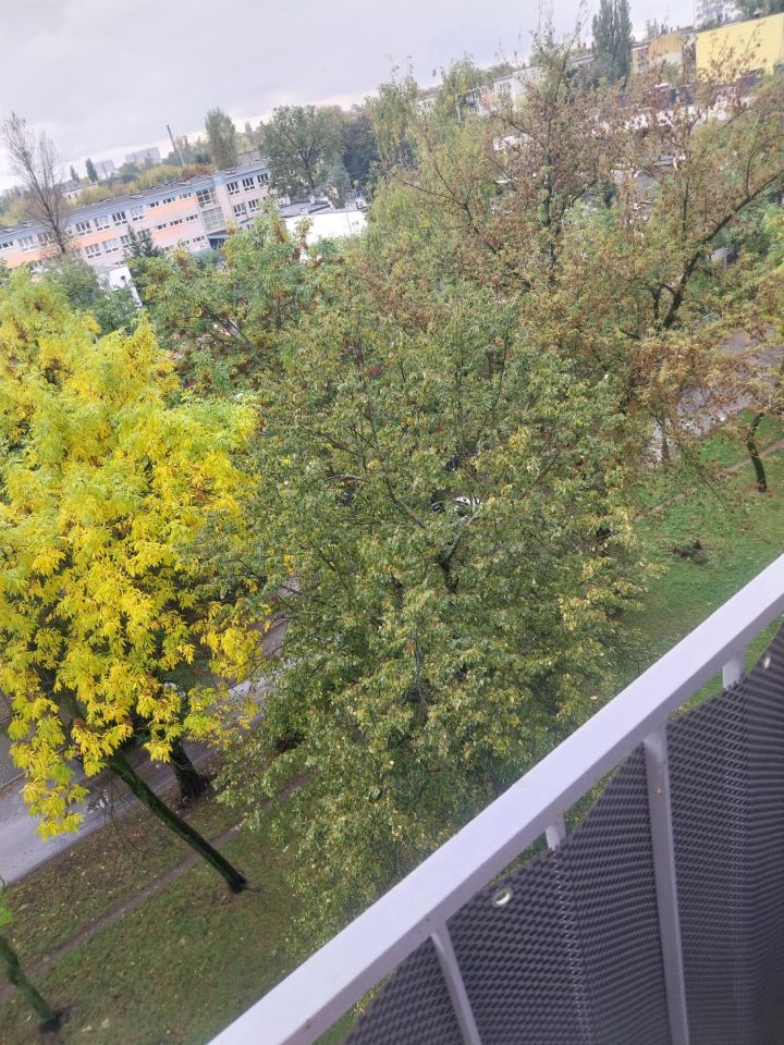 Mieszkanie 3-pokojowe Łódź Chojny, ul. Mazurska. Zdjęcie 14