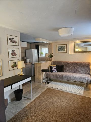 Mieszkanie 1-pokojowe Wrocław Brochów, ul. Chmurna. Zdjęcie 1