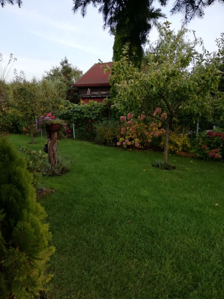 Działka rod Warszawa Bemowo, Dzialka ROD Bemowo II. Zdjęcie 19