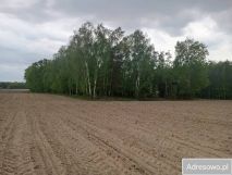 Działka siedliskowa Orzechów-Kolonia. Zdjęcie 2