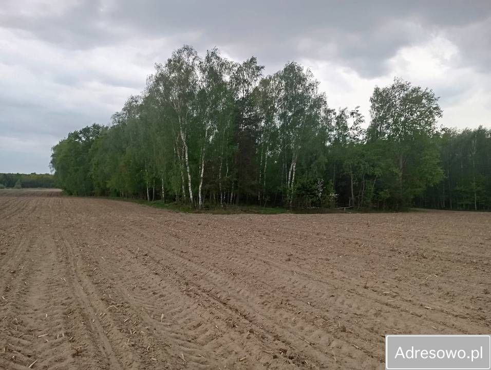 Działka siedliskowa Orzechów-Kolonia. Zdjęcie 3