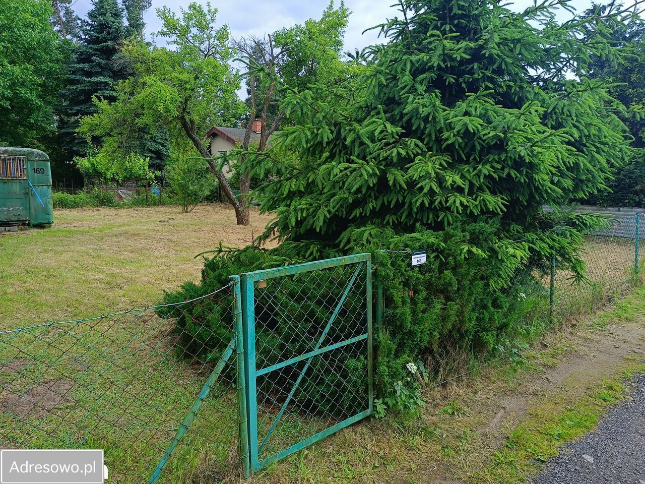 Działka rod Złotkowo. Zdjęcie 11