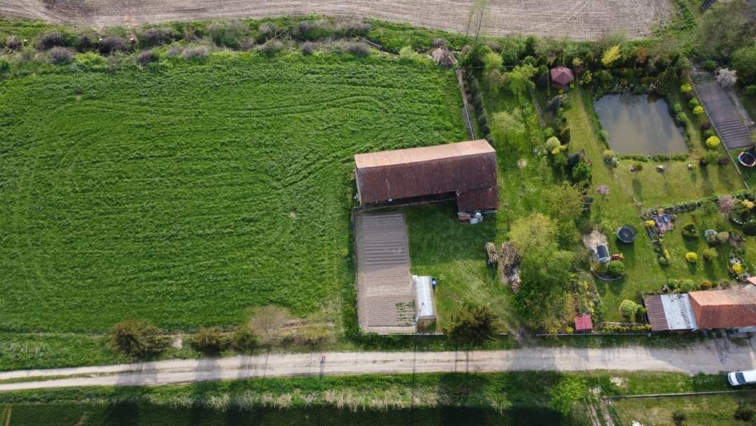 Działka rolno-budowlana Rogajny. Zdjęcie 2