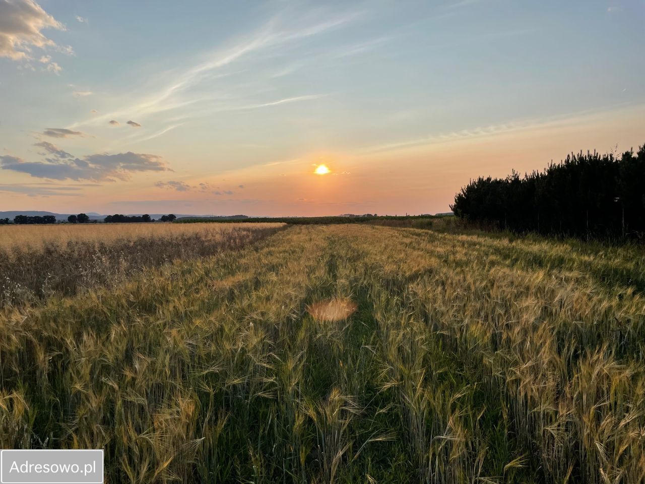 Działka rolno-budowlana Włóki. Zdjęcie 7