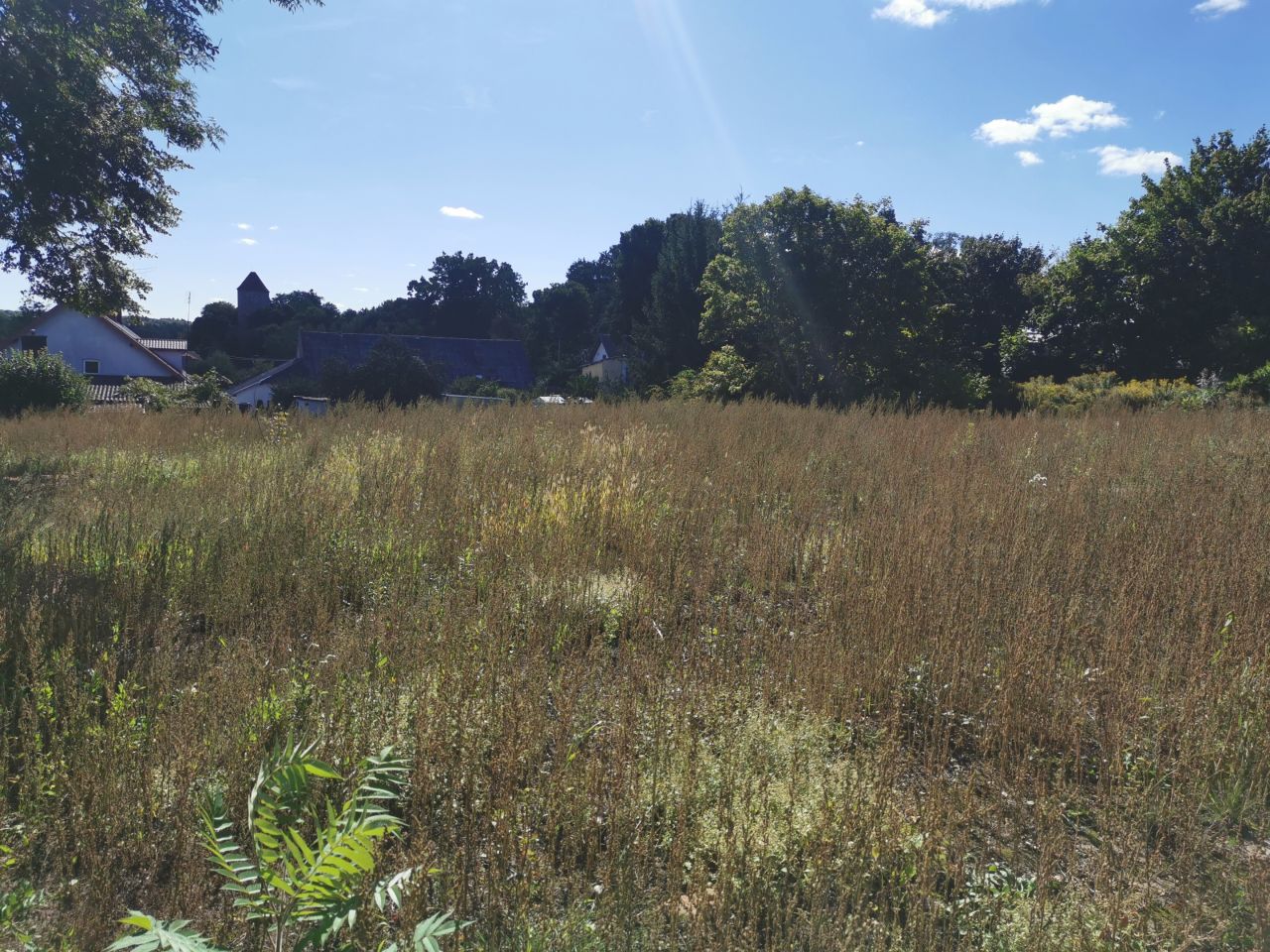 Działka inwestycyjna Przezmark. Zdjęcie 13