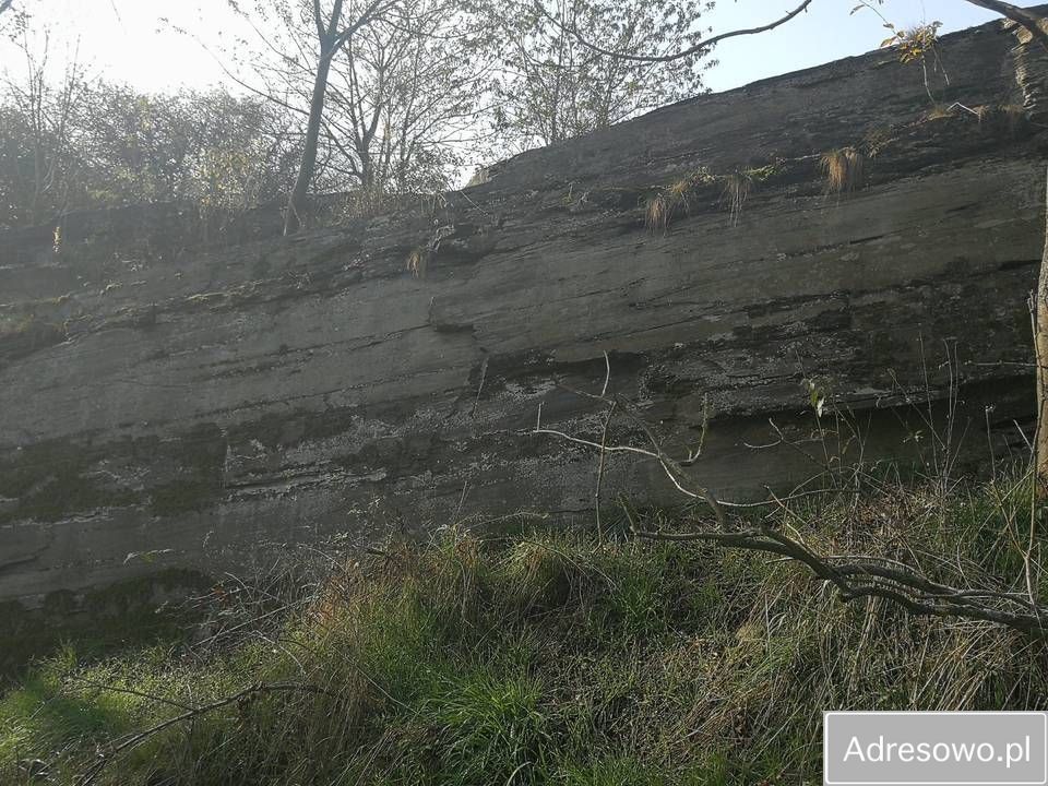 Działka inwestycyjna Jawor. Zdjęcie 3