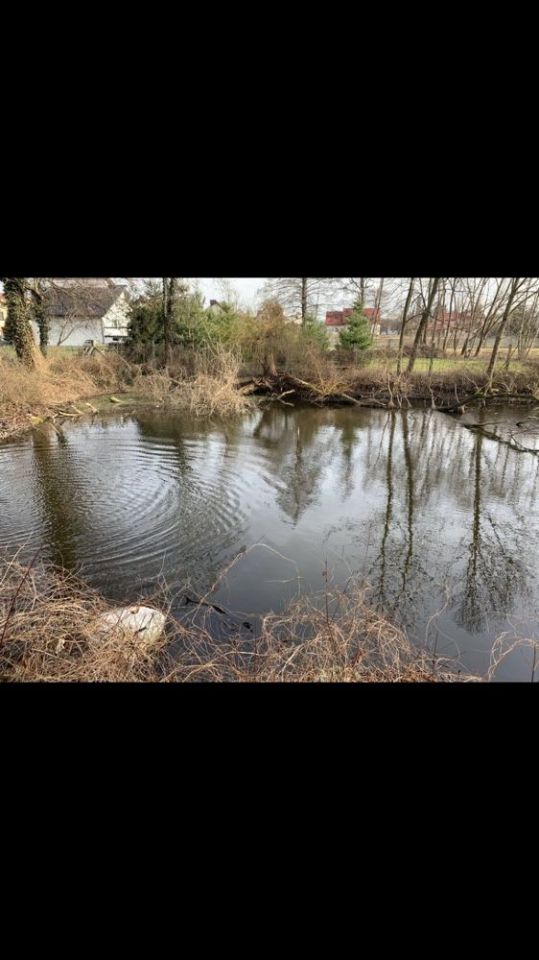 dom wolnostojący Borów. Zdjęcie 4