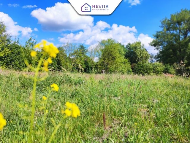 Działka budowlana Żarowo. Zdjęcie 1