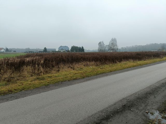 Działka budowlana Felicjanów. Zdjęcie 5