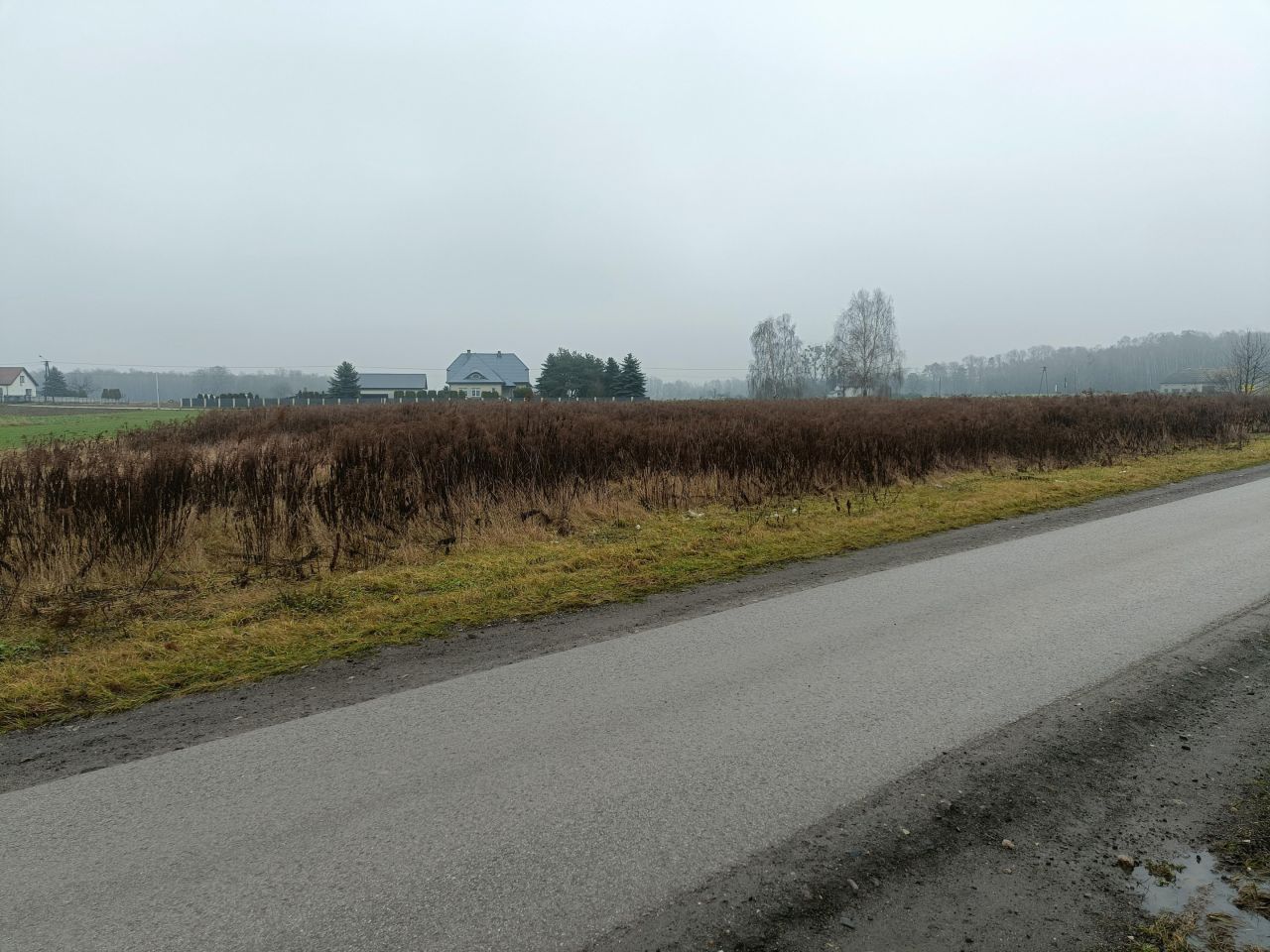 Działka budowlana Felicjanów. Zdjęcie 5