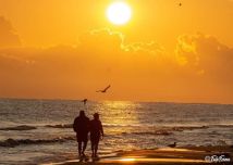 Działka budowlana Stegna, ul. Ogrodowa. Zdjęcie 1