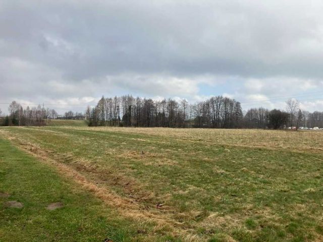 Działka budowlana Lipowa. Zdjęcie 1