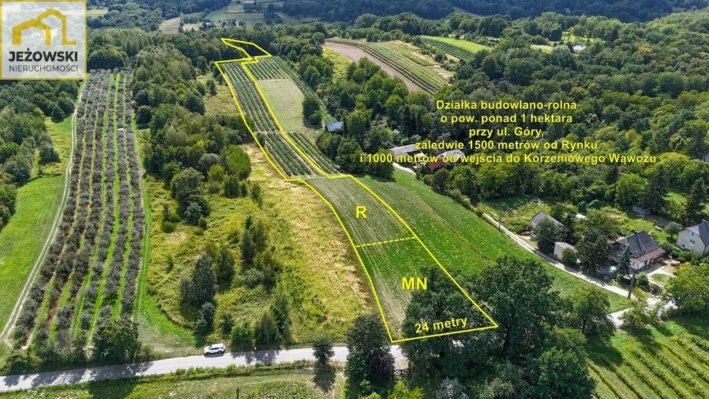 Działka rolno-budowlana Kazimierz Dolny, ul. Góry. Zdjęcie 1