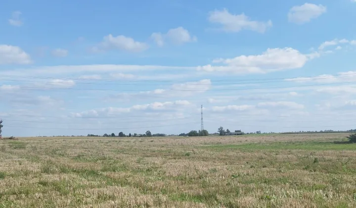 Działka rolna Bartlewo