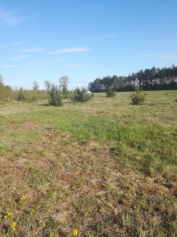 Działka budowlana Rzechta. Zdjęcie 1