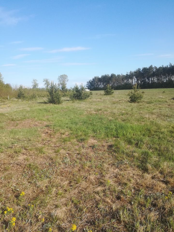 Działka budowlana Rzechta. Zdjęcie 1