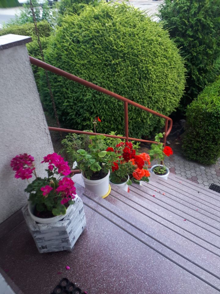 dom wolnostojący, 7 pokoi Złotów, ul. Maćkowiczów. Zdjęcie 22