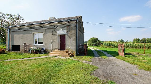 gospodarstwo Zbójno. Zdjęcie 21