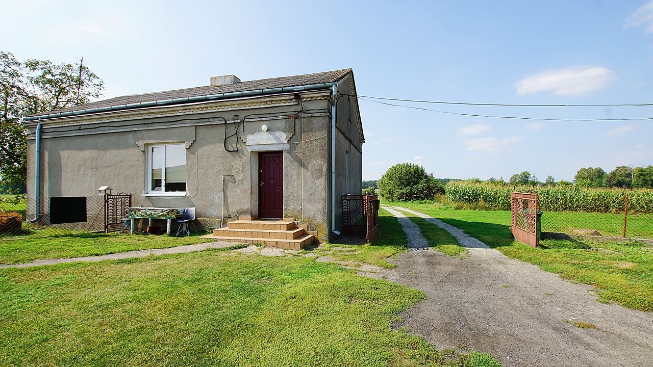 gospodarstwo Zbójno. Zdjęcie 21