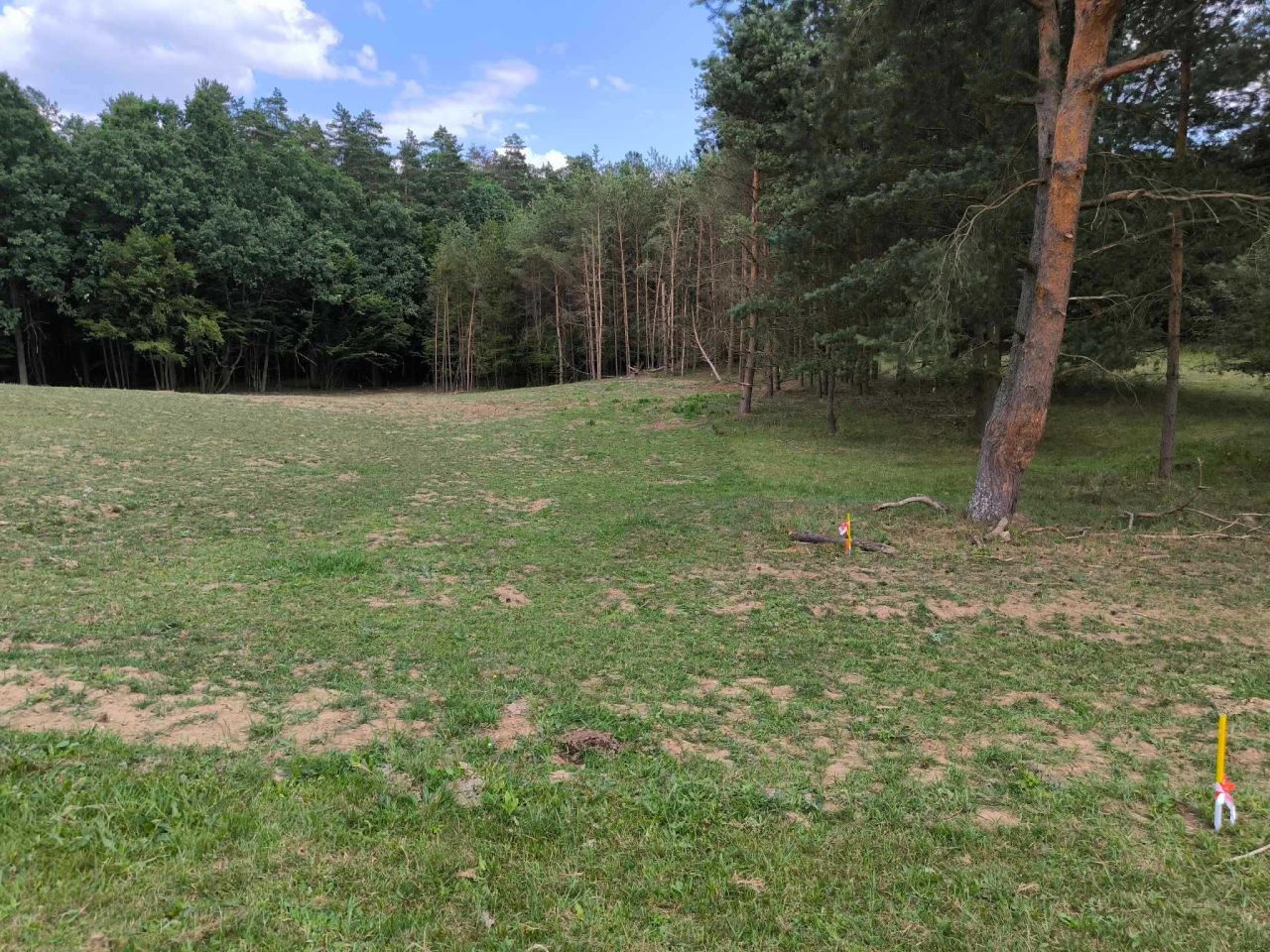Działka rolno-budowlana Stawiguda. Zdjęcie 8