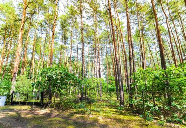 Działka rekreacyjna Poddębie. Zdjęcie 14