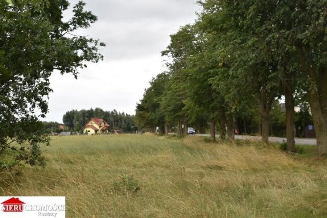 Działka budowlana Ruda. Zdjęcie 6