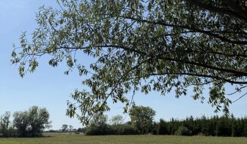 Działka rolno-budowlana Koszajec